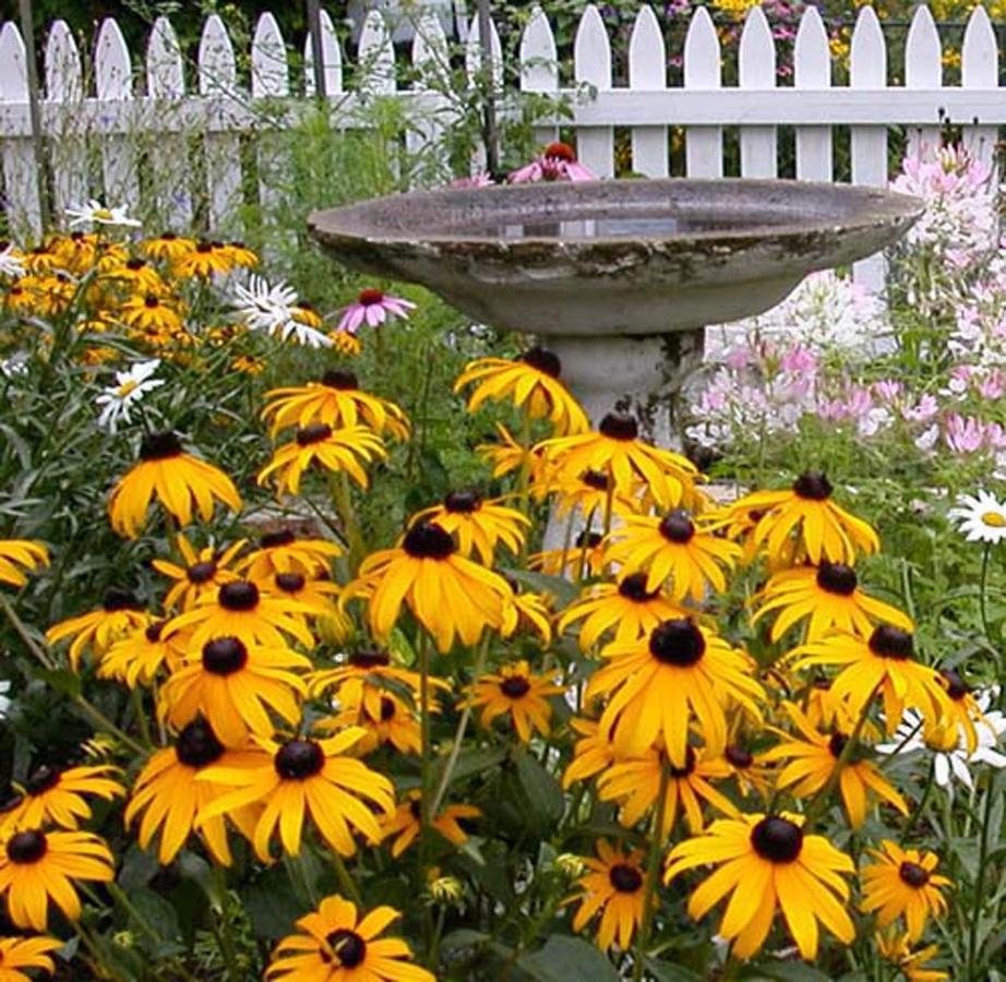 The Morrison House Bed And Breakfast Somerville Extérieur photo