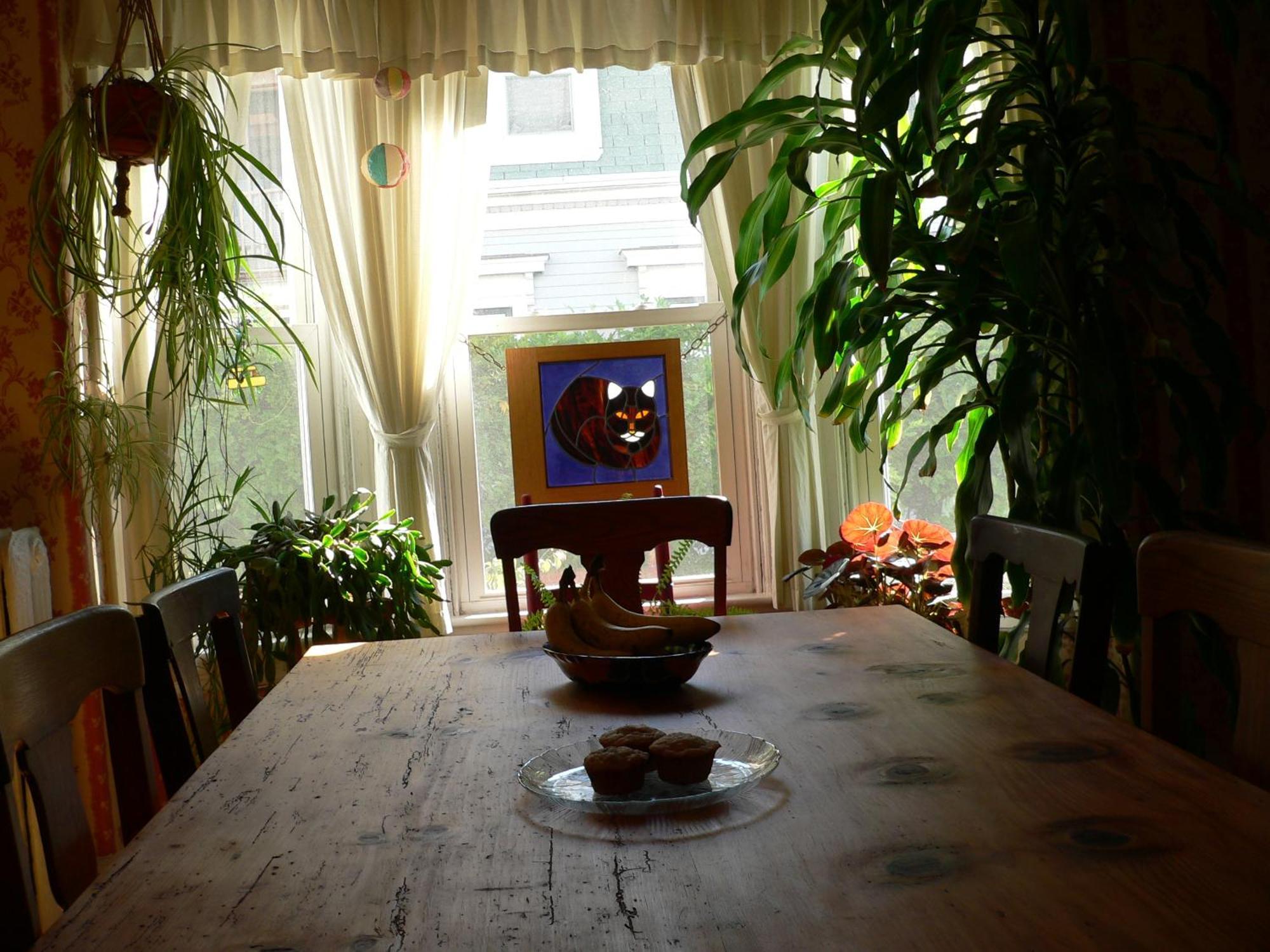 The Morrison House Bed And Breakfast Somerville Extérieur photo